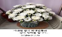 이태원 참사 희생인 추모